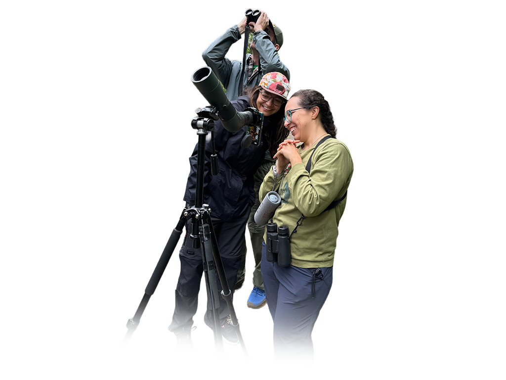 Birding in Jardín, Colombia